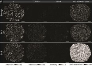 VIC Multimodal Imaging Tool
