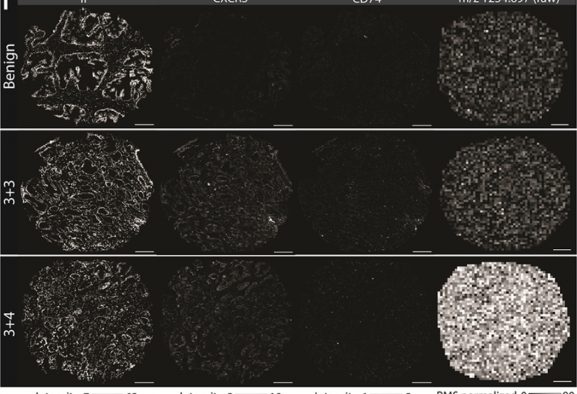 VIC Multimodal Imaging Tool