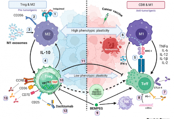 trends in cancer